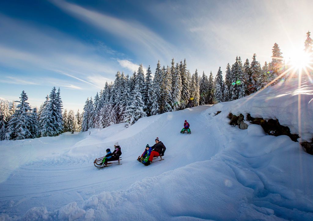 Rodeln - Winterurlaub in Filzmoos
