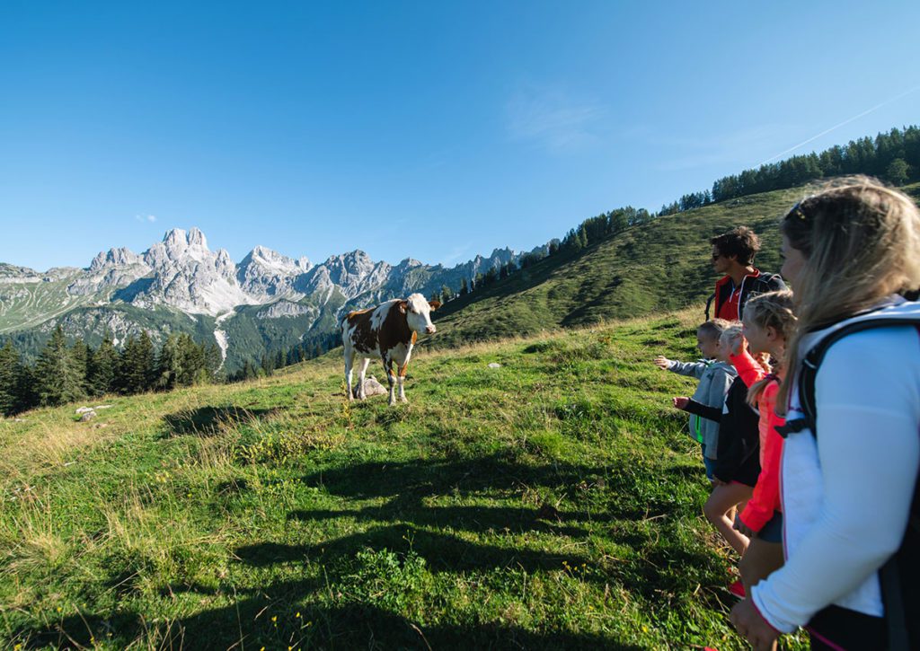 Wanderurlaub in Filzmoos
